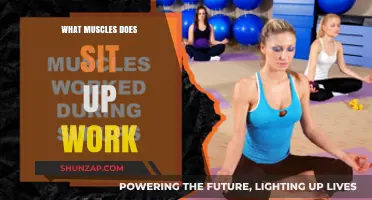 Sit-Ups: Targeting Core Muscles for Strength and Stability