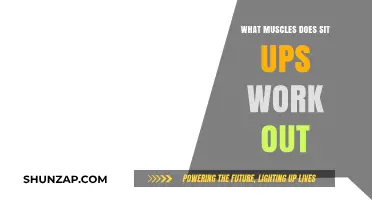 Sit-Ups: Targeting Core Muscles for Strength and Stability