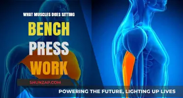 Bench Press Benefits: Targeted Muscles for Strength and Definition