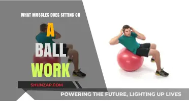Sitting on a Ball: Engaging Core and Postural Muscles Effectively