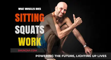 Sitting Squats: Targeted Muscles and Benefits for Lower Body Strength