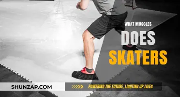 Skaters' Workout: Muscle Groups and Exercises to Know