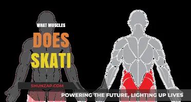 Skating Workout: Which Muscles Does It Target?