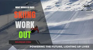 Skiing's Full-Body Workout: Muscles Engaged on the Slopes