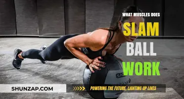 Slam Ball Workout: Target Muscles and Full-Body Benefits Explained