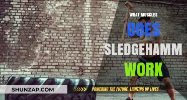 Sledgehammer Workout: Target Muscles and Full-Body Strength Benefits