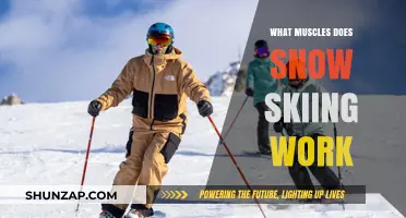 Snow Skiing Muscles: A Full-Body Workout on the Slopes