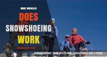 Snowshoeing Workout: Targeted Muscles for Strength and Endurance