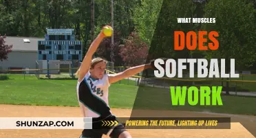 Softball's Full-Body Workout: Muscles Engaged in Every Swing and Throw