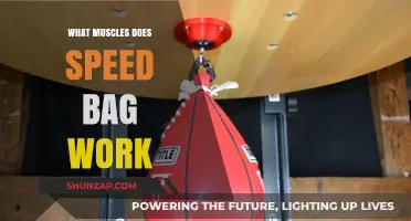Speed Bag Workout: Targeting Muscles for Speed, Coordination, and Strength