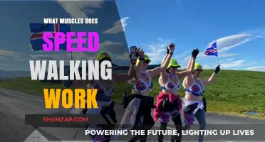 Speed Walking Benefits: Target Muscles for Toned Legs and Core