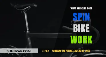 Spin Bike Workout: Targeting Core, Legs, and Glutes Effectively