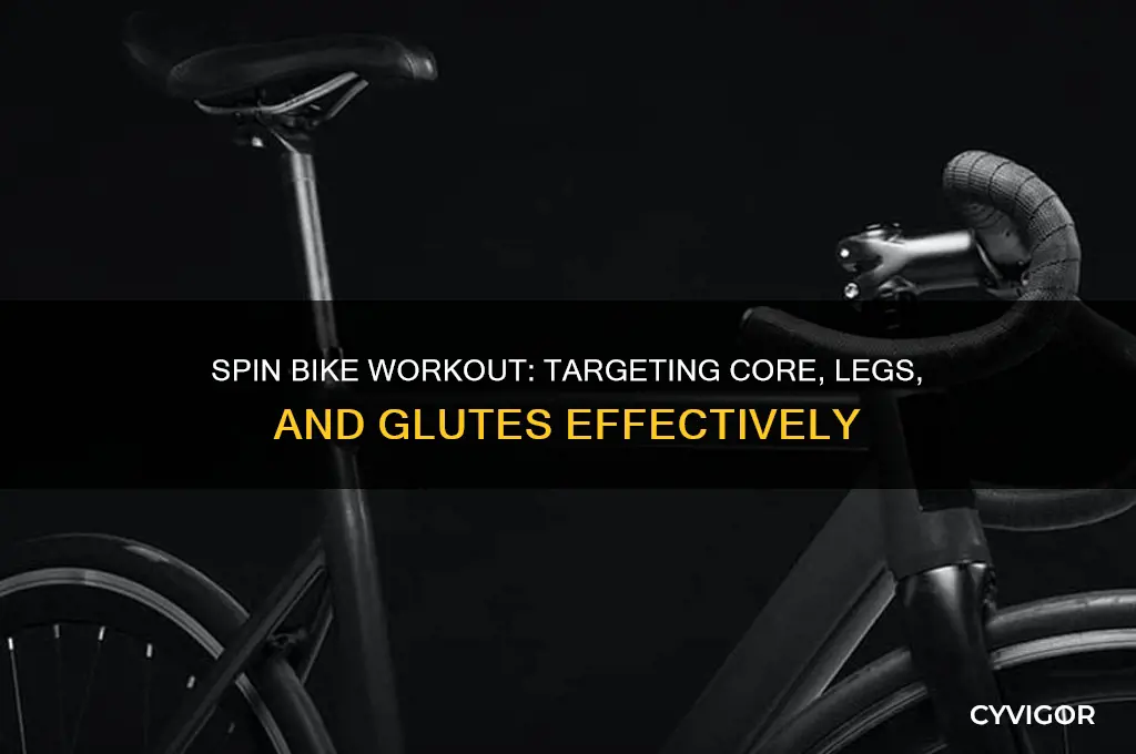 what muscles does spin bike work