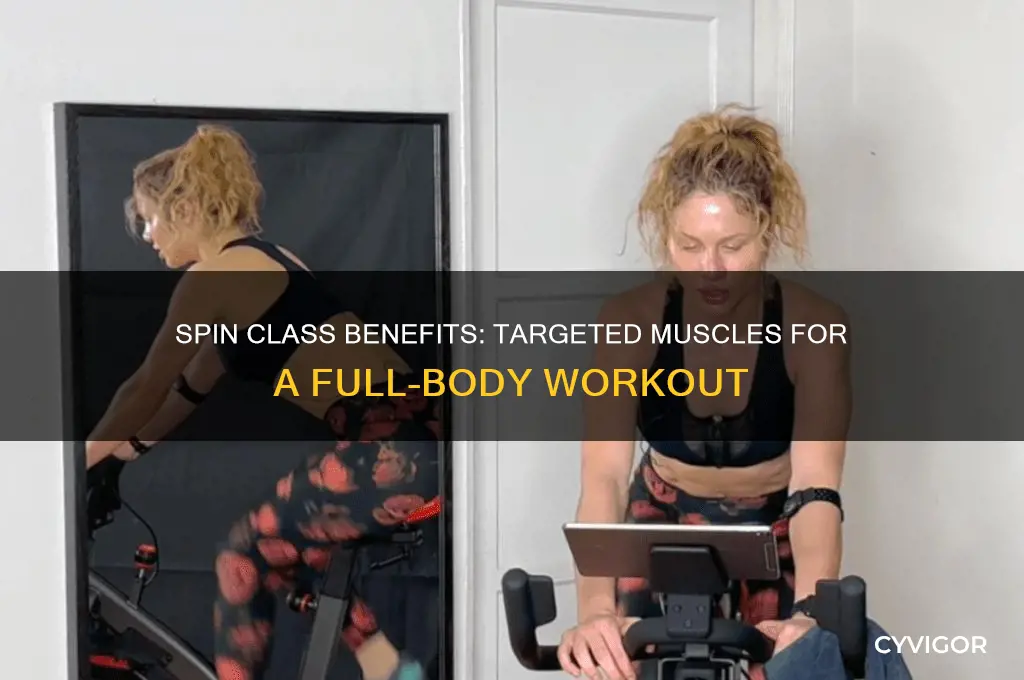 What Muscles Does Spin Class Work