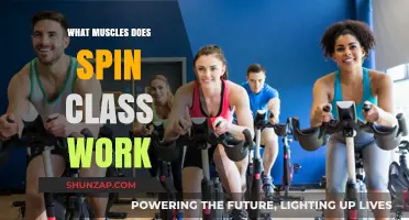 Spin Class Benefits: Targeted Muscles for a Full-Body Workout