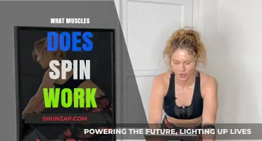Spin Class Benefits: Targeted Muscles and Full-Body Workout Explained