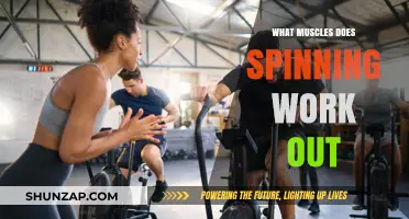 Spinning Benefits: Targeted Muscles and Full-Body Workout Explained