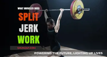 Split Jerk Muscles: Targeted Strength and Stability Training Explained