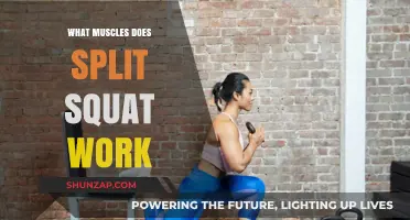 Split Squat Muscles: Targeted Lower Body Activation Explained