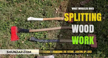 Muscles Engaged in Wood Splitting: A Comprehensive Guide to Strength Training