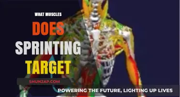 Sprinting: Targeting Explosive Muscle Power
