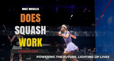 Squash Workout Benefits: Targeted Muscles and Full-Body Fitness Explained