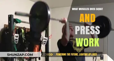 Squat and Press: Targeted Muscles for Full-Body Strength and Power