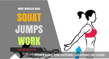 Squat Jumps: Target Muscles and Full-Body Benefits Explained