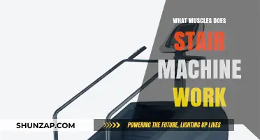 Stair Machine Workout: Targeted Muscles and Fitness Benefits Explained