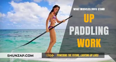 Stand Up Paddling: A Full-Body Workout Targeting Core, Arms, and Legs