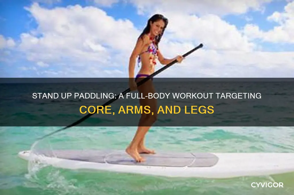 what muscles does stand up paddling work