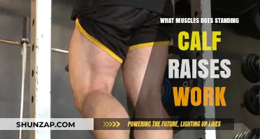 Standing Calf Raises: Targeted Muscles and Benefits Explained