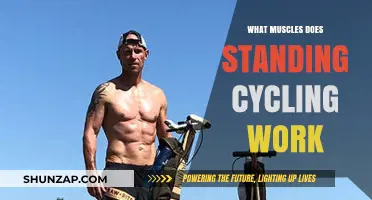 Standing Cycling Workout: Targeted Muscles and Fitness Benefits Explained