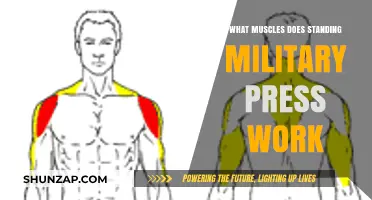 Standing Military Press: Targeted Muscles and Full-Body Benefits Explained