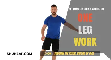Strengthen Your Core and Lower Body: Muscles Engaged in Single-Leg Stance