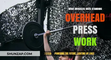Standing Overhead Press: Target Muscles and Strength Benefits Explained