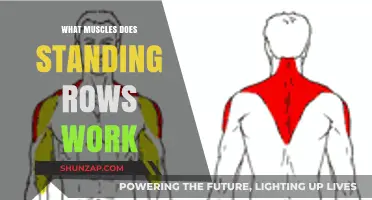 Standing Rows: Target Muscles and Benefits for Strength Training