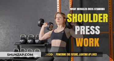 Standing Shoulder Press: Muscles Targeted and Benefits Explained