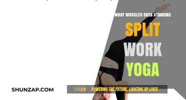Standing Splits Yoga: Targeted Muscles and Flexibility Benefits Explained