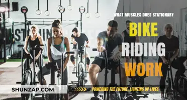 Stationary Bike Benefits: Muscles Targeted During Indoor Cycling Workouts
