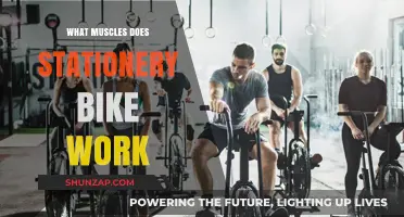Stationery Bike Workout: Target Muscles and Fitness Benefits Explained