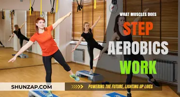 Step Aerobics: Targeting Muscles for Full-Body Strength and Tone