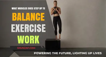 Step Up to Balance: Targeted Muscles and Fitness Benefits Explained