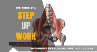 Step Up Workout: Targeted Muscles and Fitness Benefits Explained