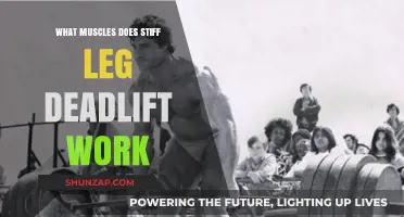 Stiff Leg Deadlift Muscles: Targeted Benefits and Workout Impact