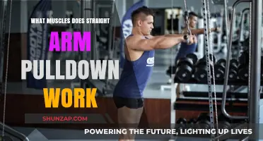Straight Arm Pulldown: Targeted Muscles and Workout Benefits Explained