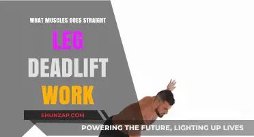 Straight Leg Deadlift Muscles: Targeted Areas and Benefits Explained