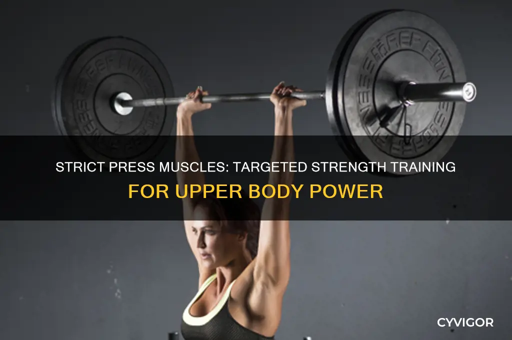 what muscles does strict press work