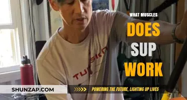 Sup Exercise: Targeted Muscles and Benefits for Strength Training