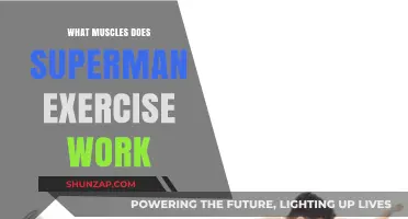 Superman Exercise: Target Muscles and Core Strengthening Benefits Revealed